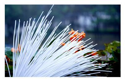 恒峰g22 - 官方网站 -- 天天有惊喜